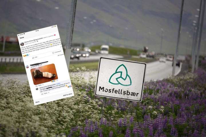 Sjáðu myndina sem Efemía þurfti að svara fyrir í Mosfellsbæ: „Fíflið frændi minn setti þetta inn“