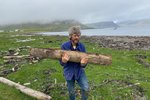 Fuglinn í fjörunni hann heitir Hrafn