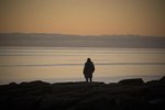 Um 211 hafa fallið fyrir eigin hendi síðan gerð myndarinnar hófst: „Umlukið dulúð og þrúgandi þögn“