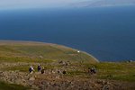 Fer fram á lögbann á sjóvíaeldi við Sandeyri – Sýslumaður krefst 100 milljóna tryggingar