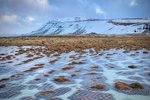 Viðbragðshópur vegna kuldatíðar settur á laggirnar – Kaltjón á ræktarsvæðum verulegt