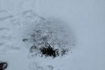 Færsla í Facebook-hópi Grindvíkinga vekur athygli: „Eitthvað hlýtt bræðir snjóinn“