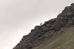 Ferðamanni bjargað úr sjálfheldu á Ísafirði – Þyrla Landhelgisgæslunnar mætti á vettvang