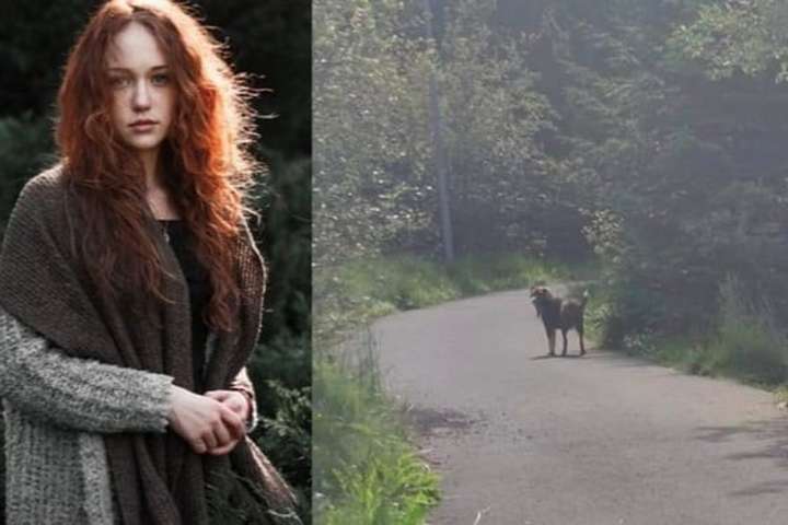 „Sorry blótið anskotinn hafi það viljið endilega benda mér á eigandann ef þú þekkir þennan hund“