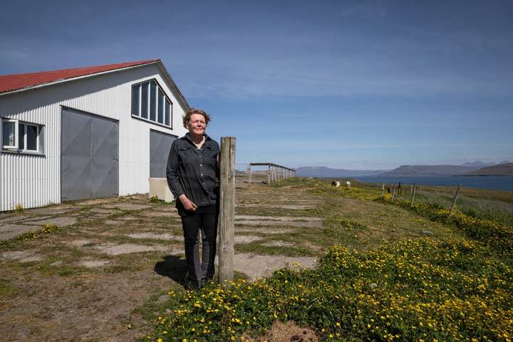 Í stríði við stofnanir og stóriðju