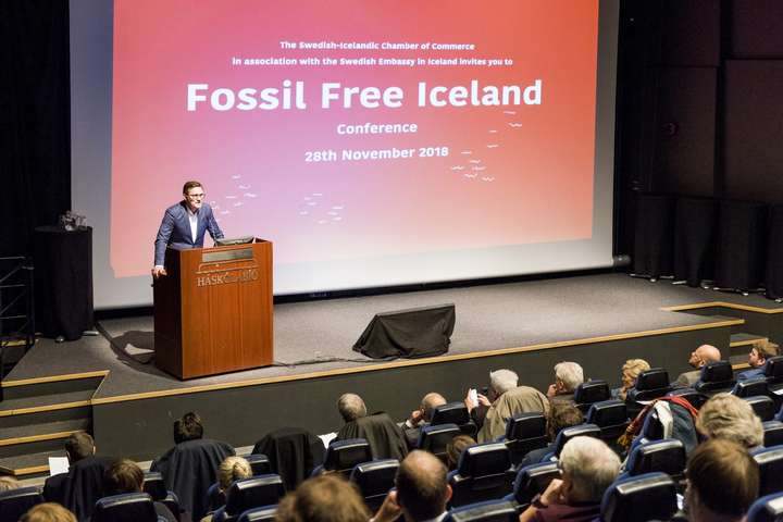 Ísland jarðefniseldsneytislaust árið 2030