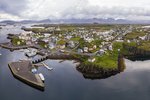 Bastarður í Stykkishólmi