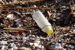 Hvað er plast og hvers vegna er það skaðlegt umhverfinu?