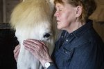 Tekur slaginn fyrir náttúruna og dýrin í landinu