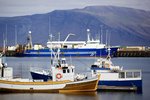 Um 16 prósent auðlindarentunnar runnu til almennings