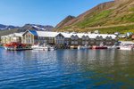 Sigurvin og Freyja æfðu drátt á Siglufirði – Sjáðu myndirnar!
