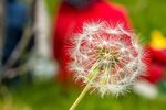 Ferðafélag Íslands og Háskólinn verðlaunuð