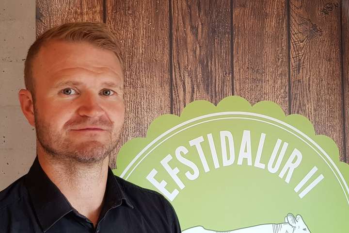 Ísinn í Efstadal II hafður fyrir rangri sök