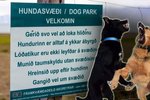 Sýður upp úr í Reykjavík: Tíkur bannaðar -„Fólk er fífl“