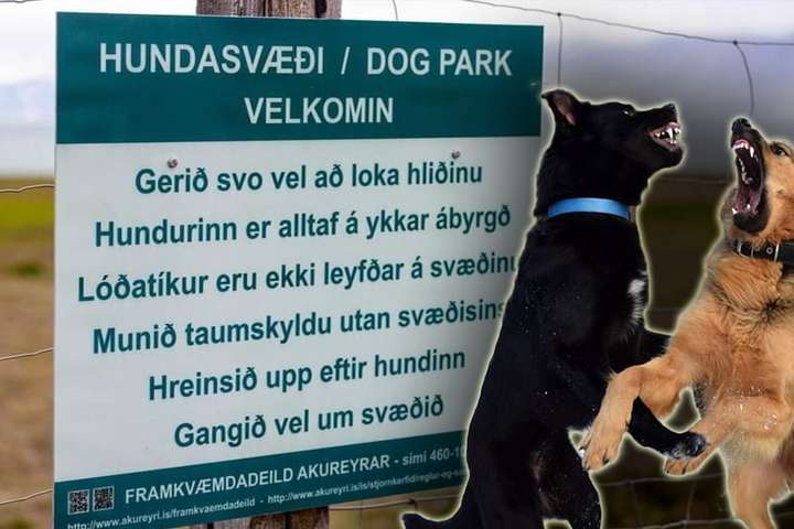 Sýður upp úr í Reykjavík: Tíkur bannaðar -„Fólk er fífl“
