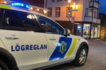 Ölvuð móðir kastaði hundi í lögreglumann