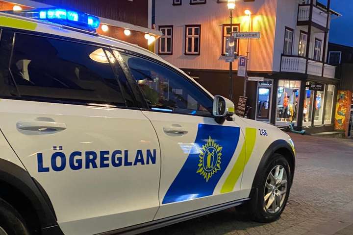 Ölvuð móðir kastaði hundi í lögreglumann