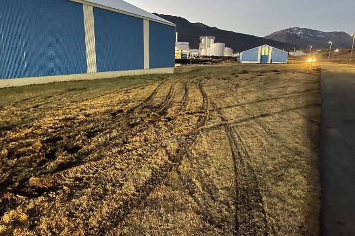 Tveir grunaðir um náttúruspjöll við Síldarvinnsluna: „Einbeittur brotavilji til staðar“