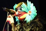 Björk og gestir – Listrænn stórviðburður gegn hvalveiðum