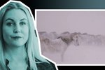 Bændur segja varaþingkonu Pírata út á túni – Segir hesta deyja úr kulda: „Hahah er þér alvara?”