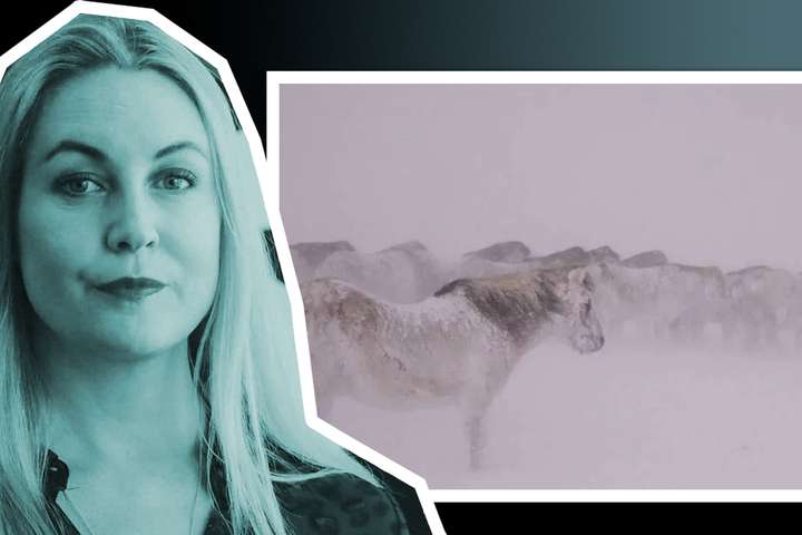 Bændur segja varaþingkonu Pírata út á túni – Segir hesta deyja úr kulda: „Hahah er þér alvara?”