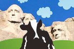 Ben & Jerry‘s: Skiliði Ameríku