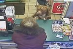 Lögreglan skaut hund sem réðst á eiganda sinn: „Var með mjög saklaust andlit“