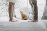 Hamingjan er til eftir skilnað hvort sem fyrrverandi trúir því eður ei