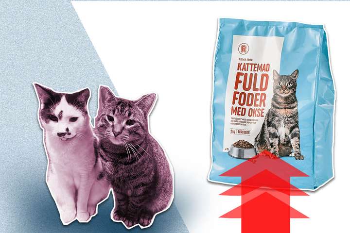 Gríðarleg hækkun á kattamat- Helmings hækkun á hálfu ári