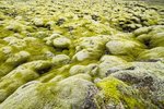 Skjálftahrina á Reykjanesi