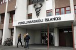 Nektardans í Verzló fór fyrir brjóstið á nemendum: „Gekk eins langt og hægt er að ganga“