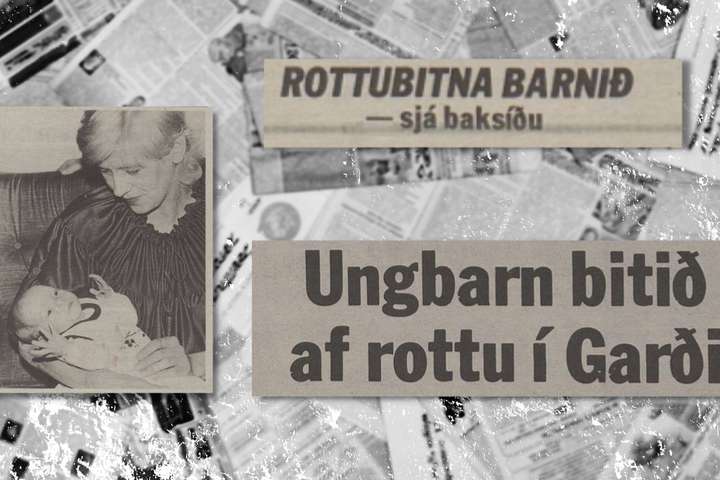 Nýfæddur drengur bitinn af rottu í Garðinum: „Þegar ég tek hann inn sé ég storknað blóð“