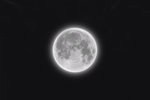Freyr gefur út lagið MOON: „Ég nærist á því að skapa list“