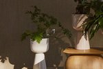 Nýjungar frá Iittala – Fullkomið fyrir þá sem gleyma gjarnan að vökva plönturnar