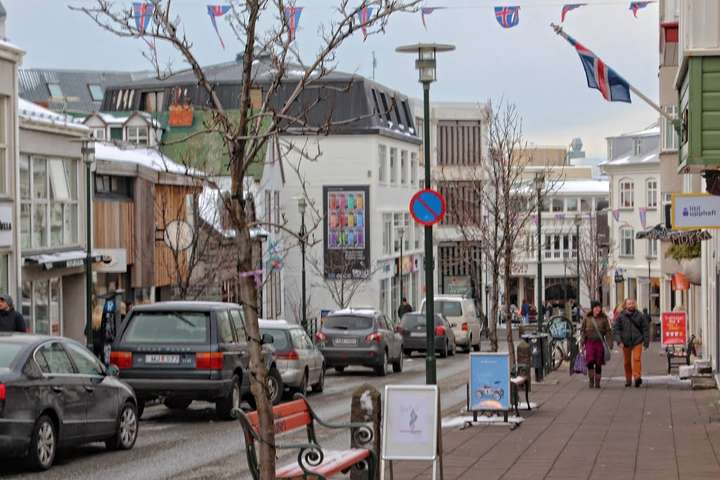 Miðborgarelítan í algjöru áfalli: „Hringja strax í meindýraeyði Reykjavíkurborgar!“
