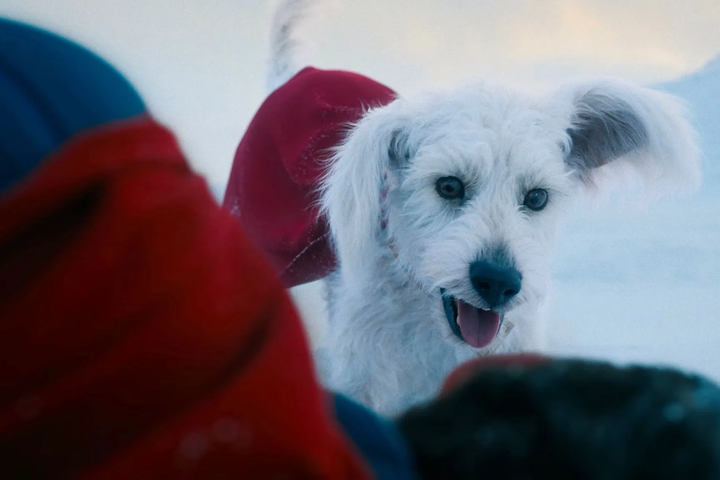 Superman snýr aftur í stiklu – með hundi