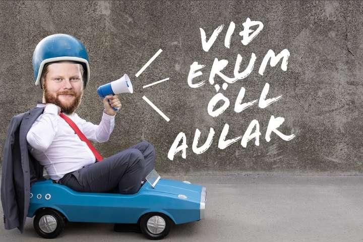 Við erum öll aular