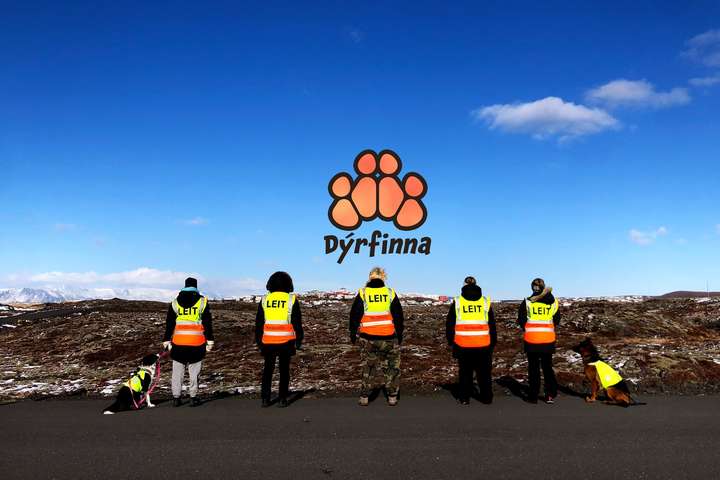 Aðstæður of hættulegar fyrir leit að labradortíkinni sem féll í Seljadalsá